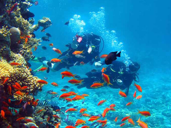 andaman t