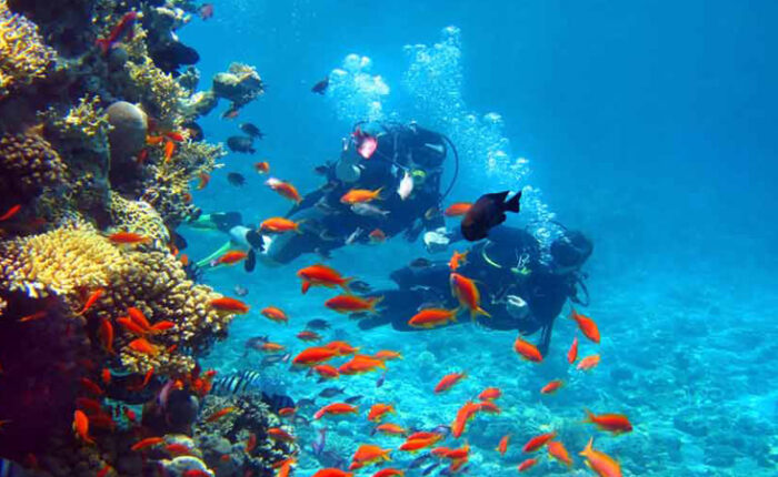 andaman t