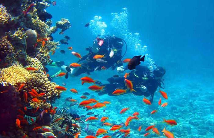andaman t