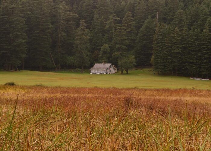 himachal