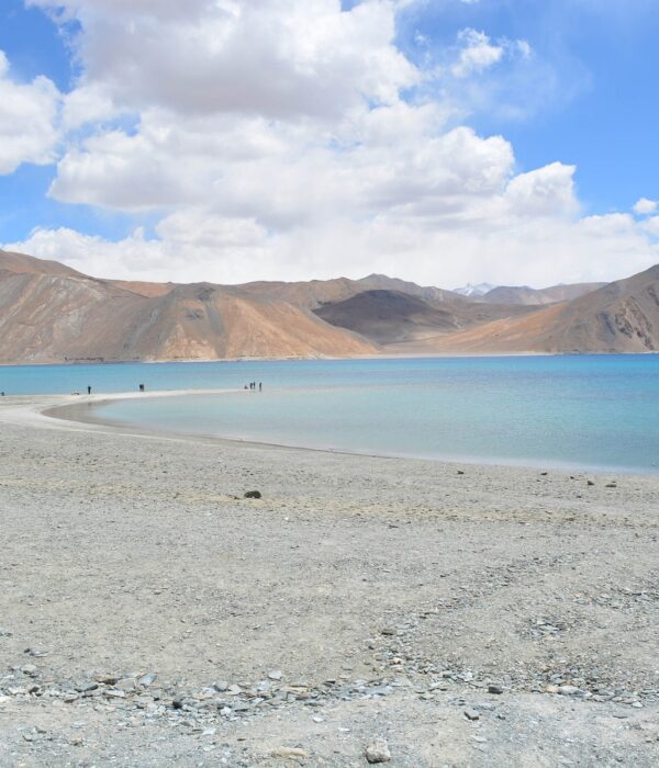 leh-ladakh-image