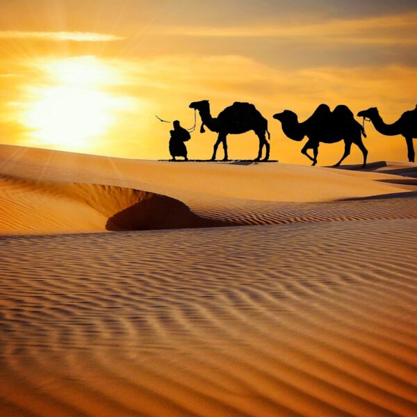 rajasthan-travel