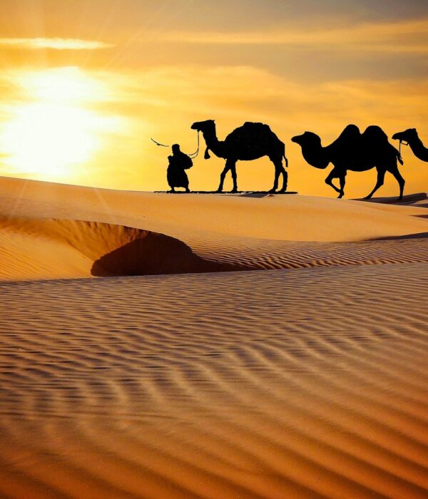 rajasthan-travel
