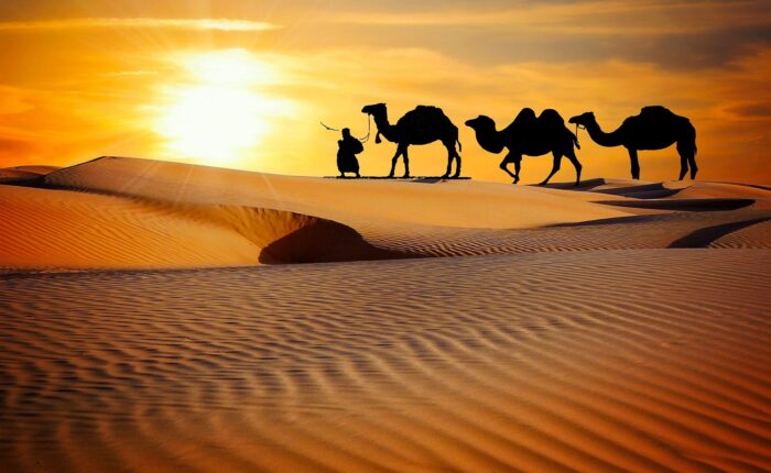 rajasthan-travel