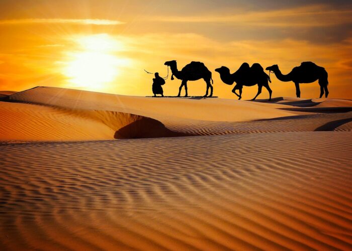 rajasthan-travel